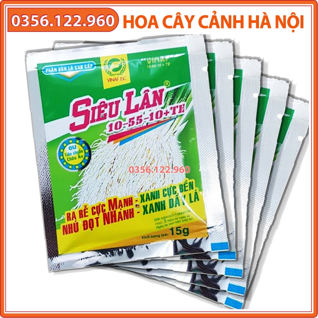 [Rẻ vô địch]  5 gói PHÂN BÓN SIÊU LÂN XANH 10-55-10+ TE 15G (ra rễ khỏe bật chồi , xanh dày lá))