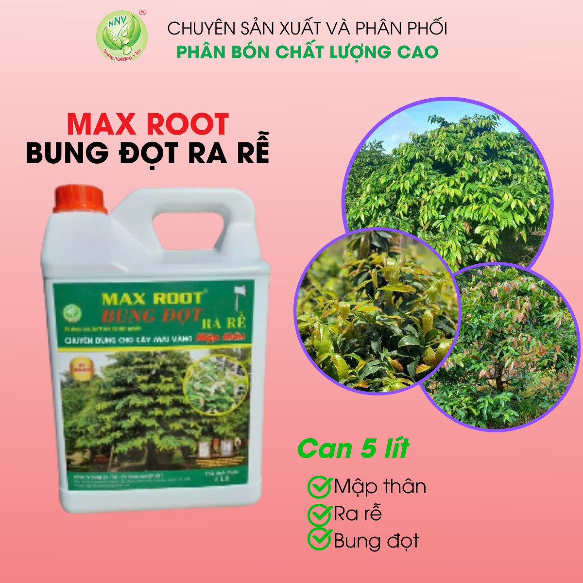 MAX ROOT BUNG ĐỌT RA RỄ MAI VÀNG CAN 5 LÍT