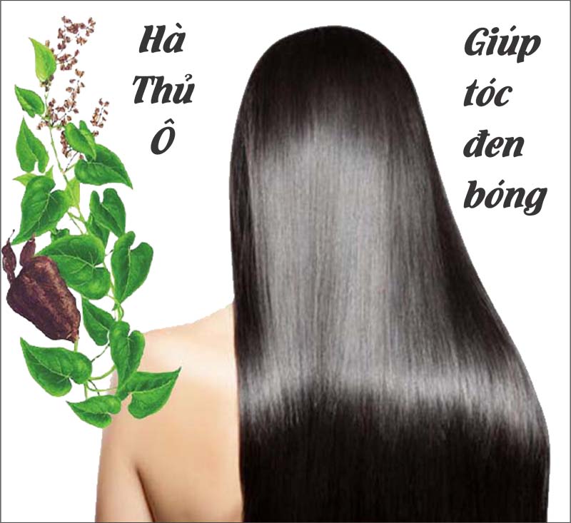 2KG (4 hộp) Viên Hà Thủ Ô làm đen râu tóc