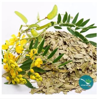 Lá phan tả diệp (gói 1kg khô) - LV069
