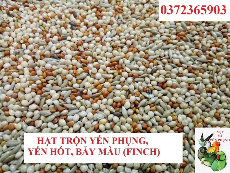 1KG HẠT TRỘN DÀNH CHO YẾN PHỤNG, FINCH, YẾN HÓT VÀ BẢY MÀU