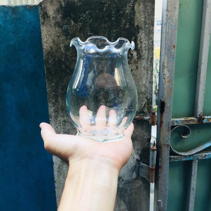 Chậu thủy tinh mini tai bèo , bể cá mini để bàn