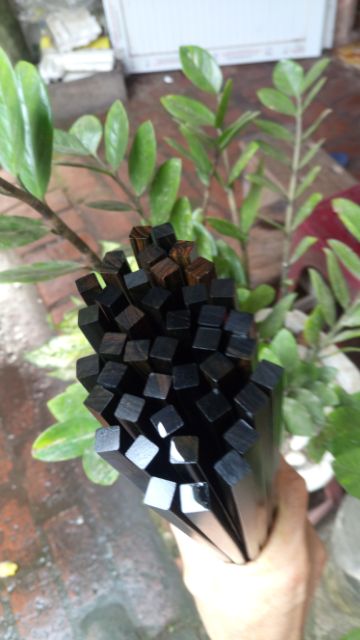 Đũa Gỗ Mun Sừng (6 Đôi)