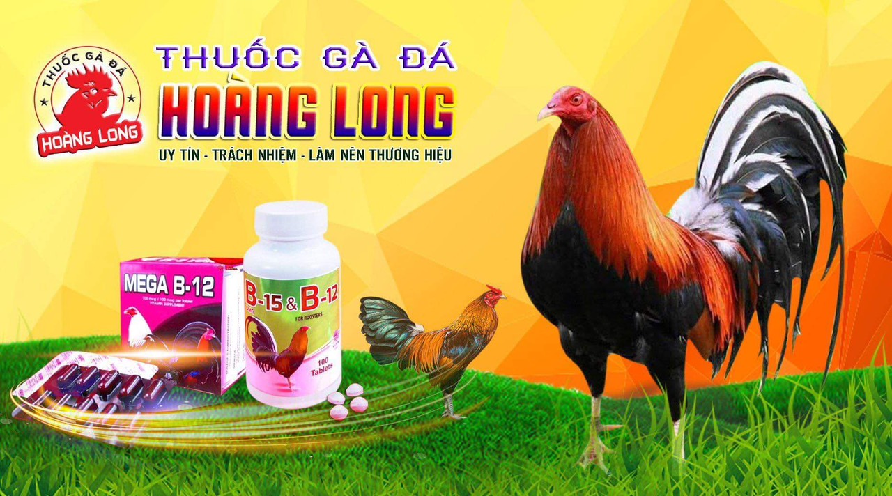 Dây cột gà thả gà ăn cỏ
