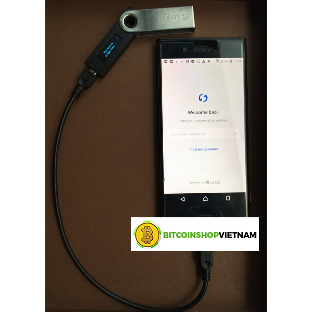 Ví Trữ Lạnh Ledger NANO S