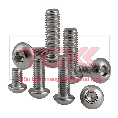 Bulong LGC chỏm cầu inox 304 M5