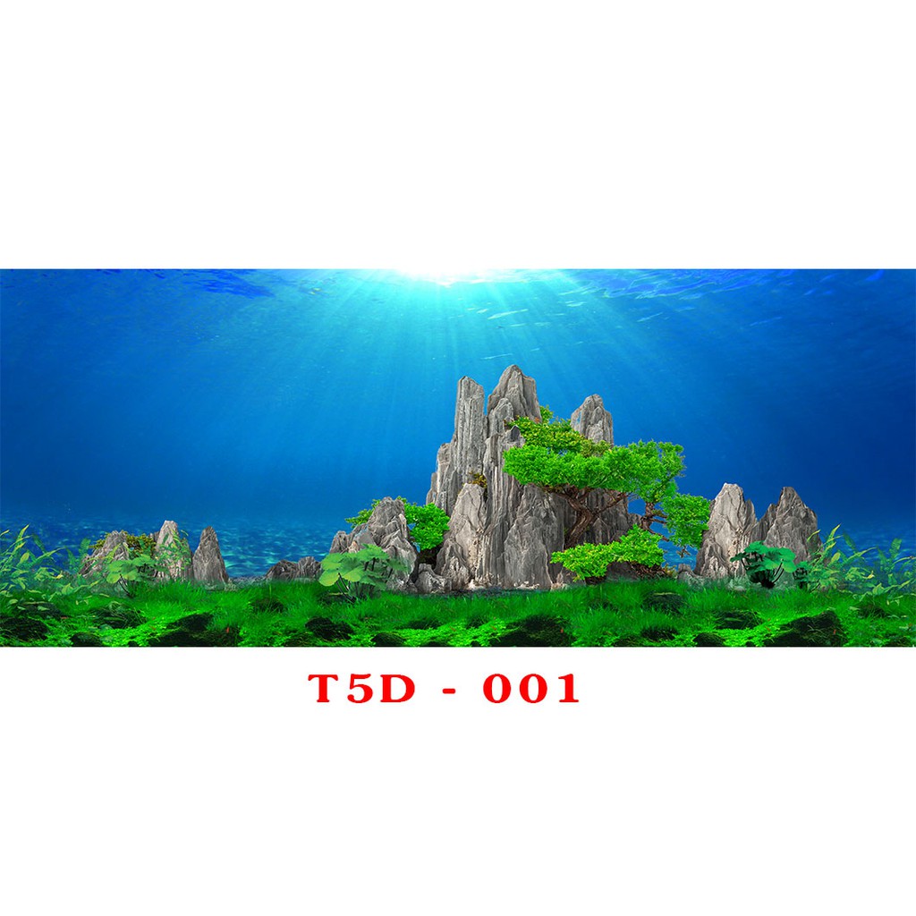 Tranh 3D bể cá mã T5D-001 kt (60,80,90,100,1m2,1m5,1m6)