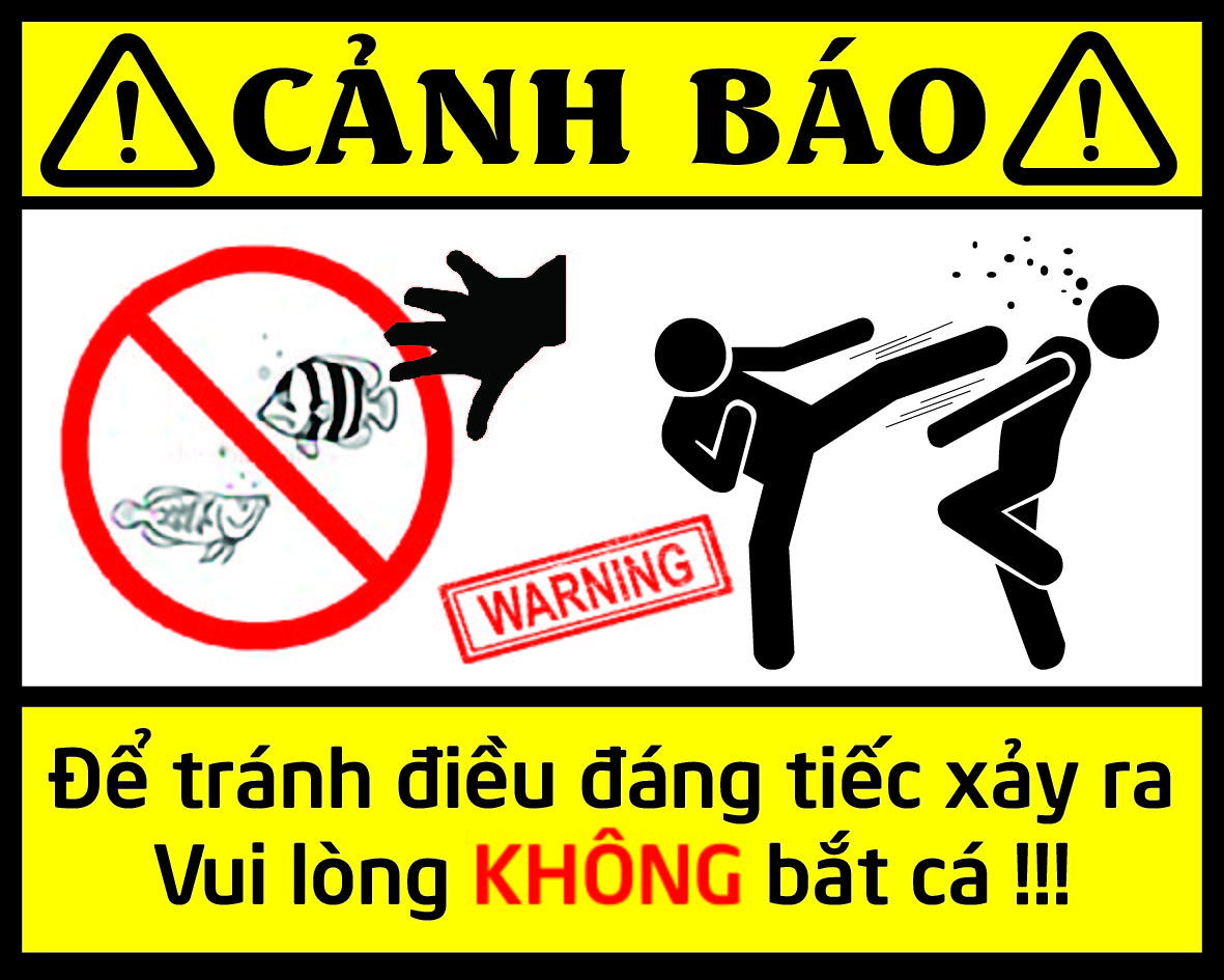 Bộ 4 Tem decal Cảnh báo vui nhộn dán hồ cá