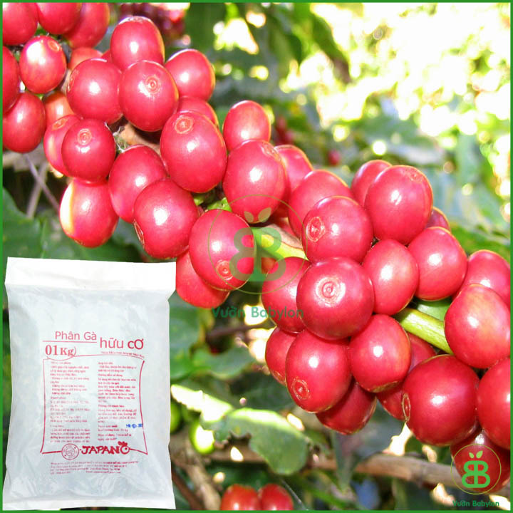 Phân Gà Hữu Cơ Nhật Bản 1KG