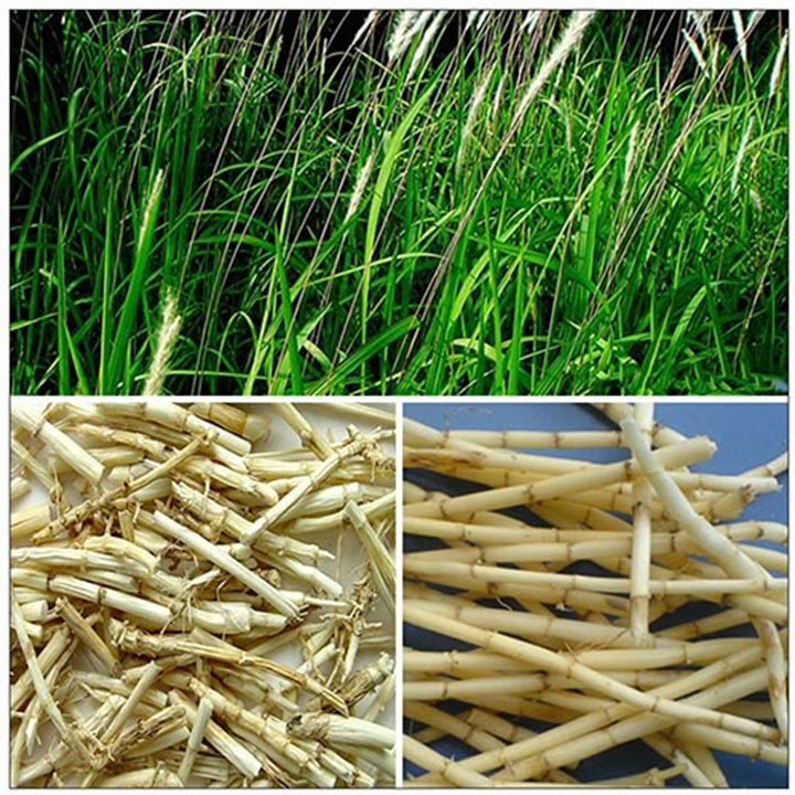 Bạch mao căn (rễ cỏ tranh) khô 1kg