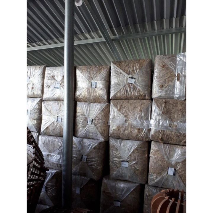 100g rêu sâu Chile chuyên dùng chồng lan