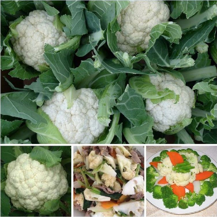Hạt giống súp lơ trắng nhật bản ( 0.2gr/gói )