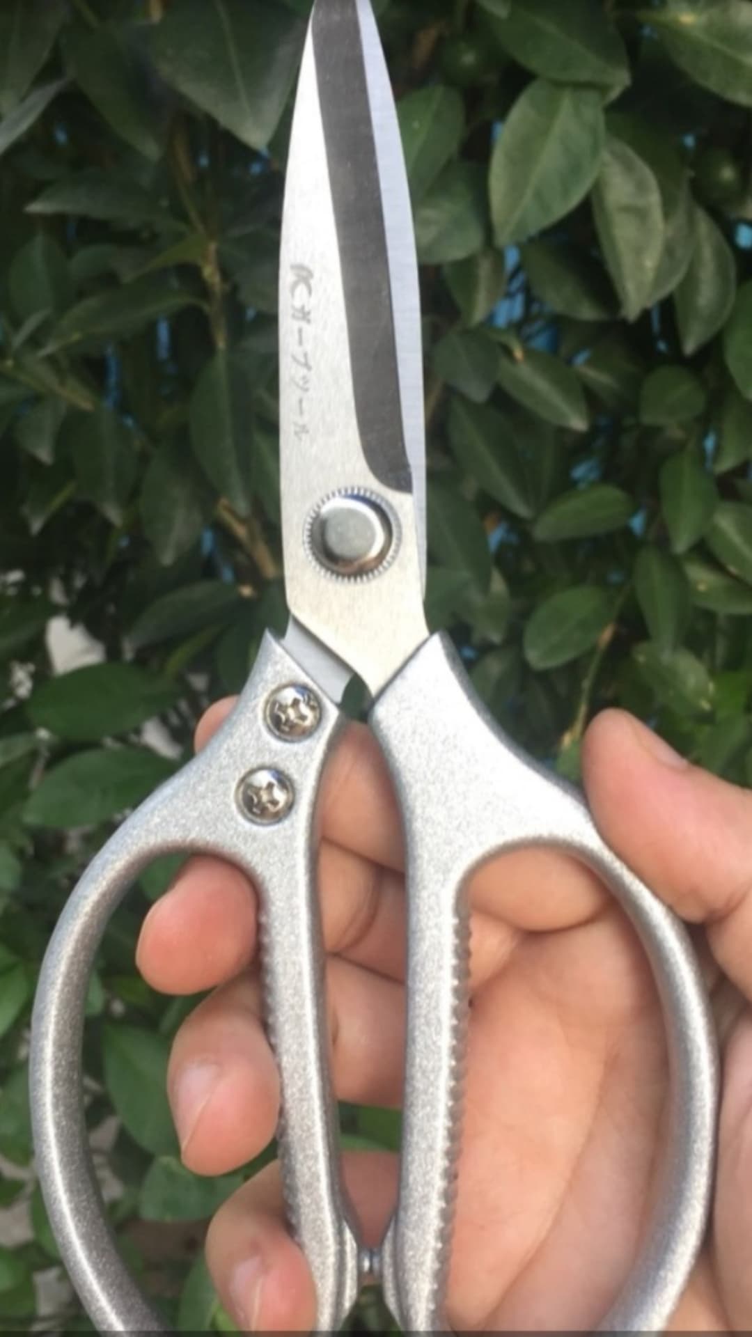 Kéo cắt đa năng nhật bản,thép trắng đúc cao cấp ,siêu sắc bén và không gỉ sét