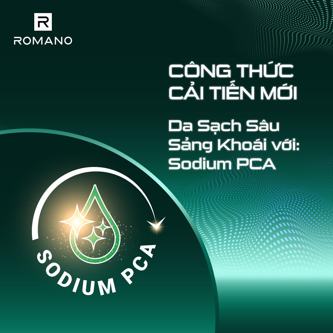 Combo Dầu gội và Sữa tắm Romano Classic 650g/chai