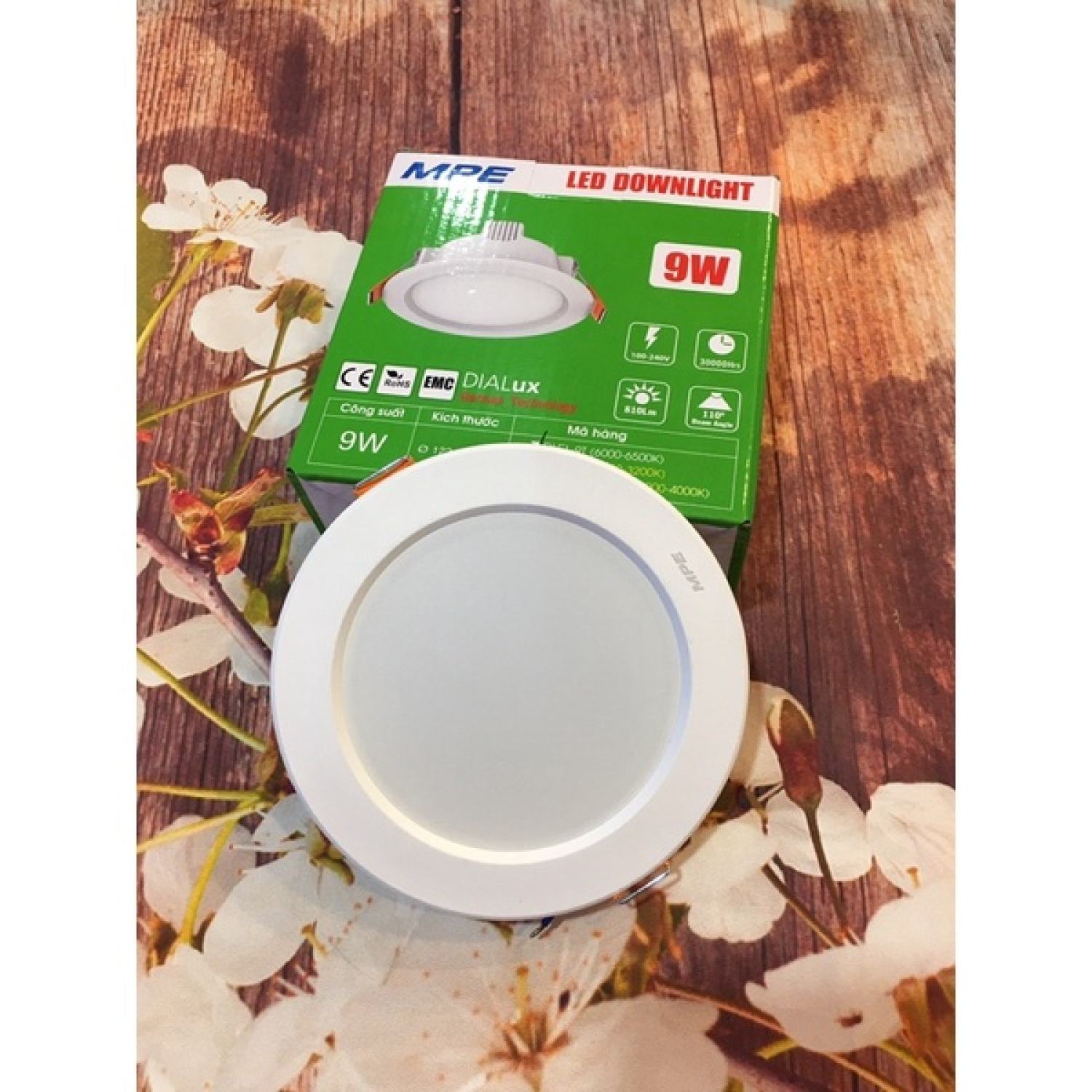 Bóng âm trần MPE 9W