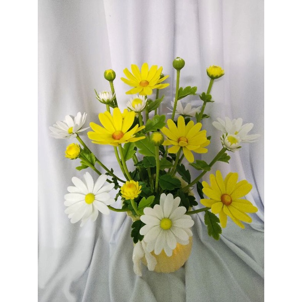 Chậu cúc hoạ mi đất sét cao 40cm