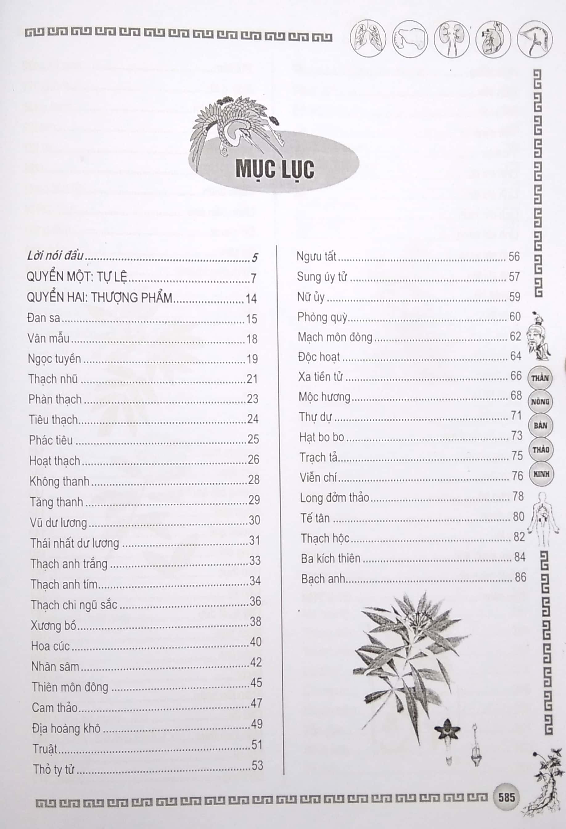 Sách - Thần Nông Bản Thảo Kinh - ML