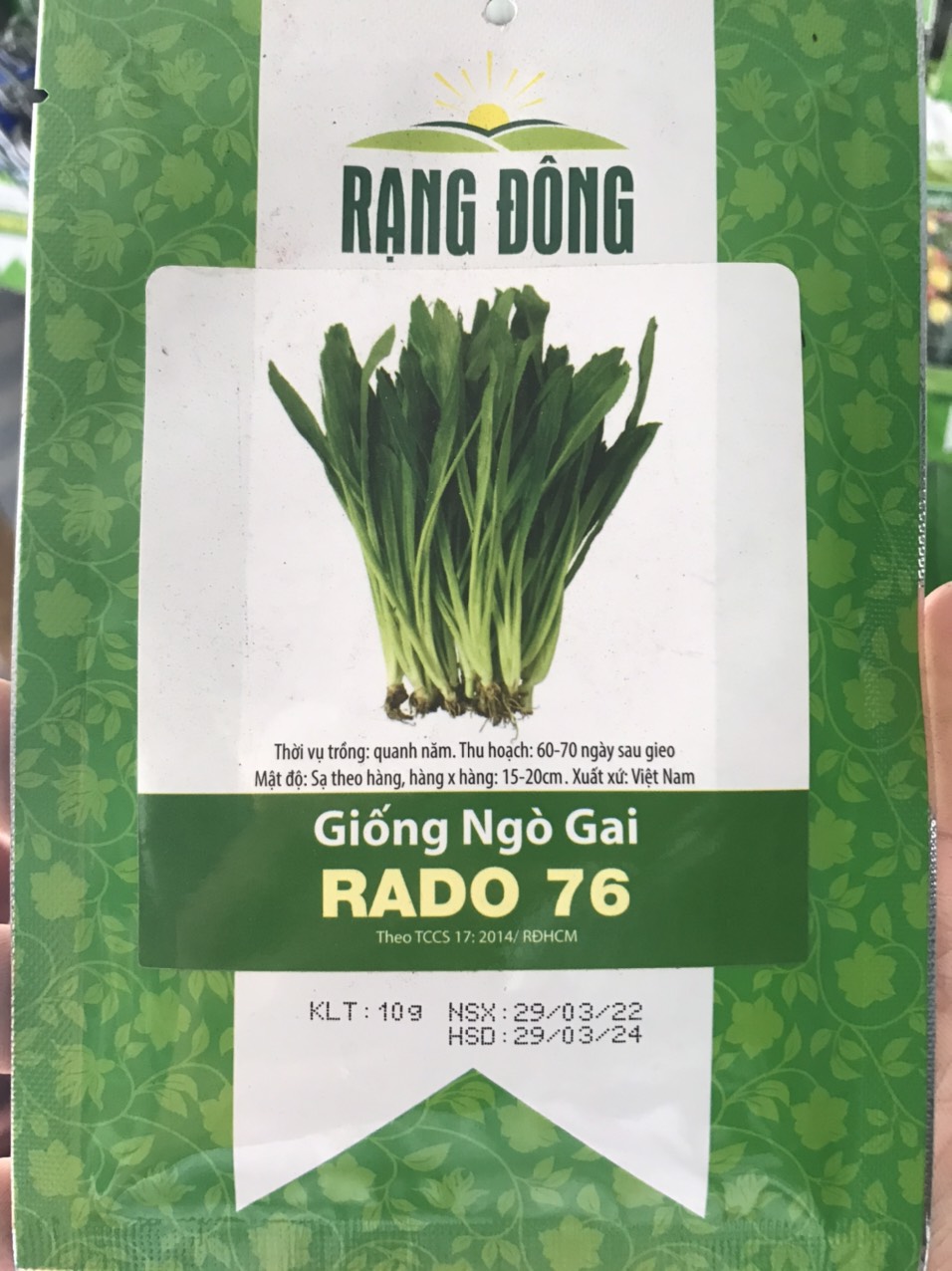 Hạt giống ngò gai