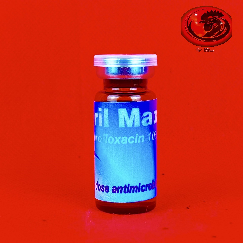 BAYTRILL MAX 10% khò khè, tiêu chảy gà đá 10ml
