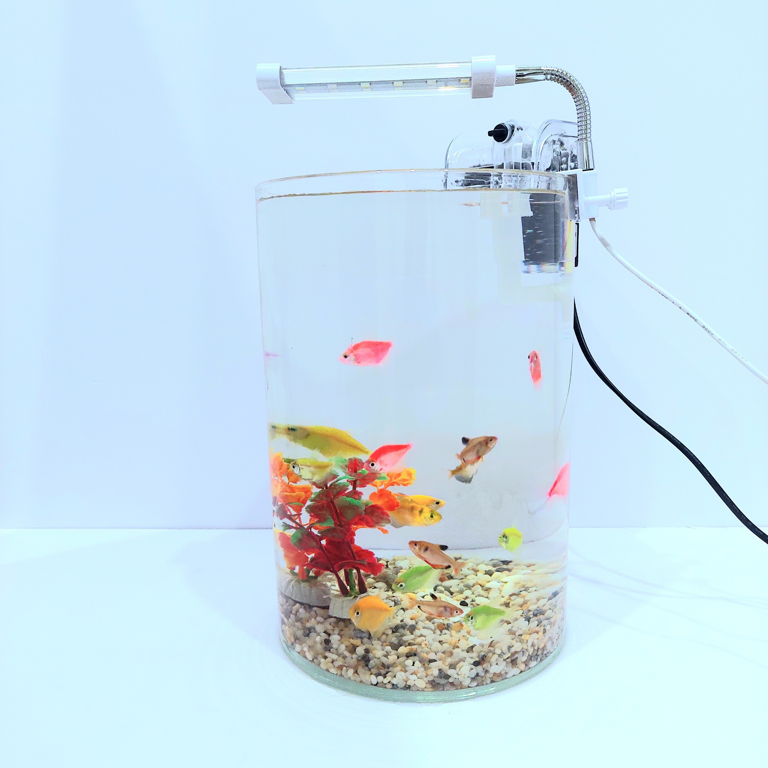 [Hoàn Tiền 10%] Bể cá mini tròn D20-H30 nhiều mẫu