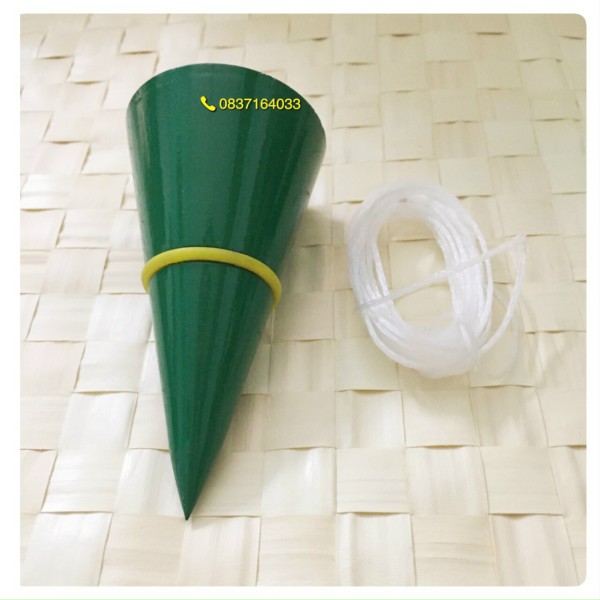 [HCM]Quả dọi Berrylion 500g - 052003050