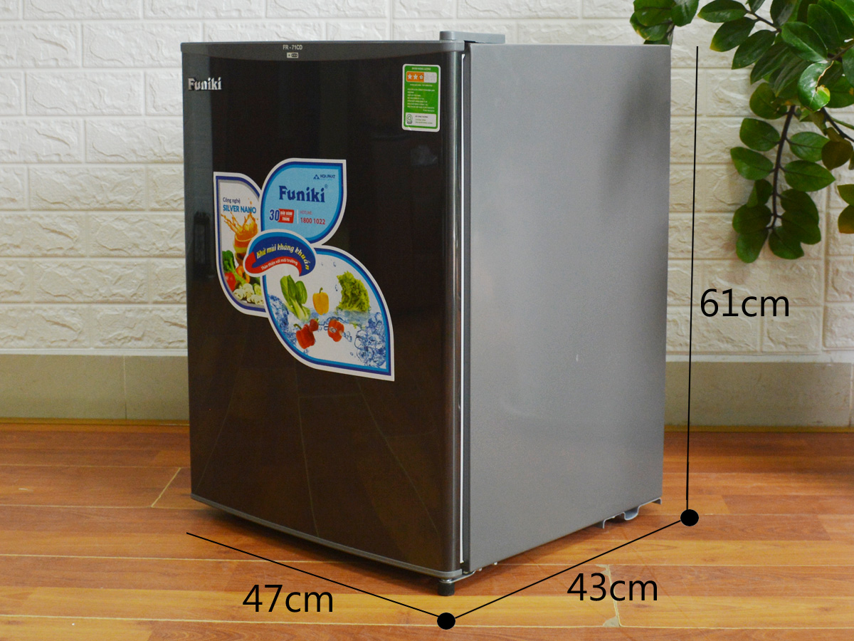 Tủ lạnh Funiki Hòa Phát FR 71CD 70 lít - xám