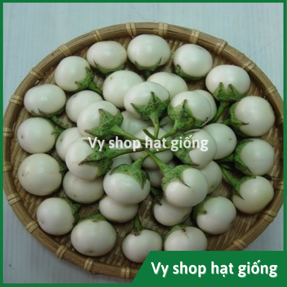 Hạt giống cà pháo trắng Thái Lan gói 200 hạt