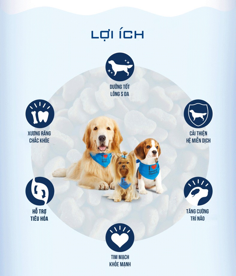HẠT KHÔ SMARTHEART DÀNH CHO CHÓ TRƯỞNG THÀNH - VỊ BÒ NƯỚNG