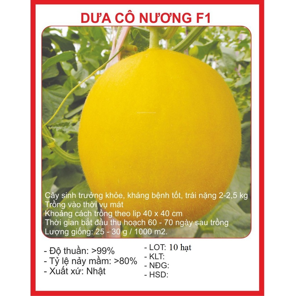Hạt Giống Dưa Kim Cô Nương Nhật Bản - Gói 10 Hạt