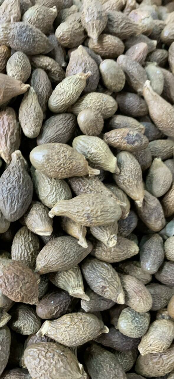 Hạt Đười Ươi Cao Cấp Loại 1 - 200G