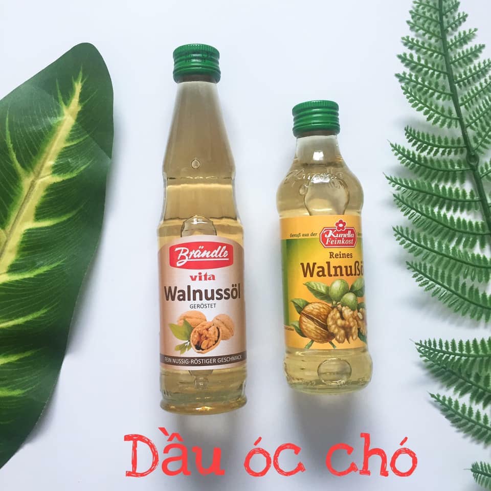 DẦU ĂN DẶM CHO BÉ 6M+ - Dầu óc chó