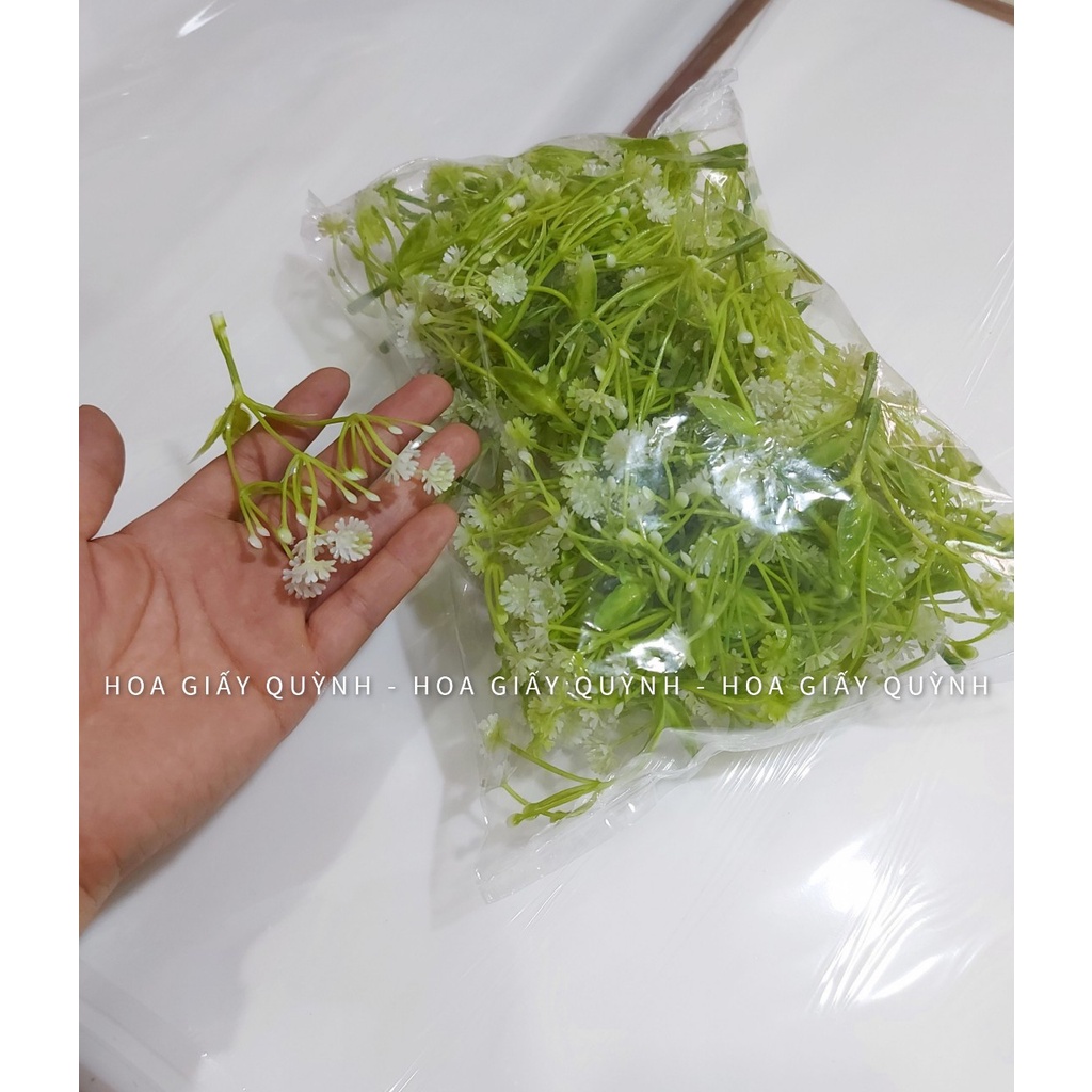 100gr hoa cỏ điểm trang trí - phần 2