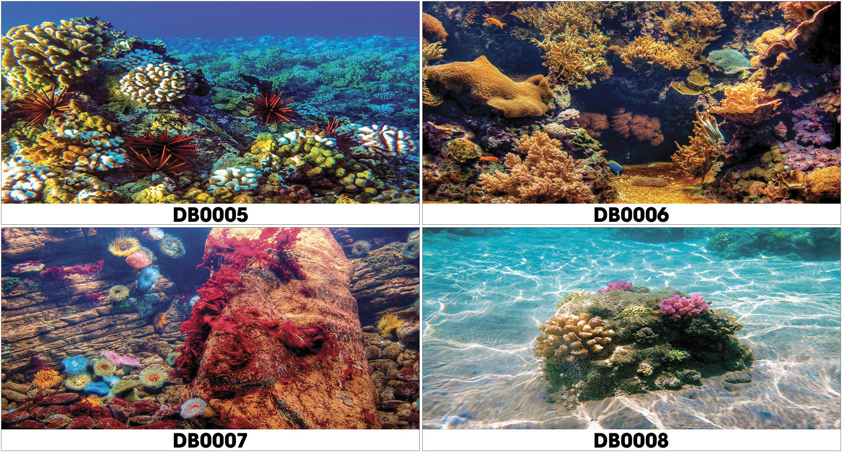 Tranh 3D hồ cá - DB