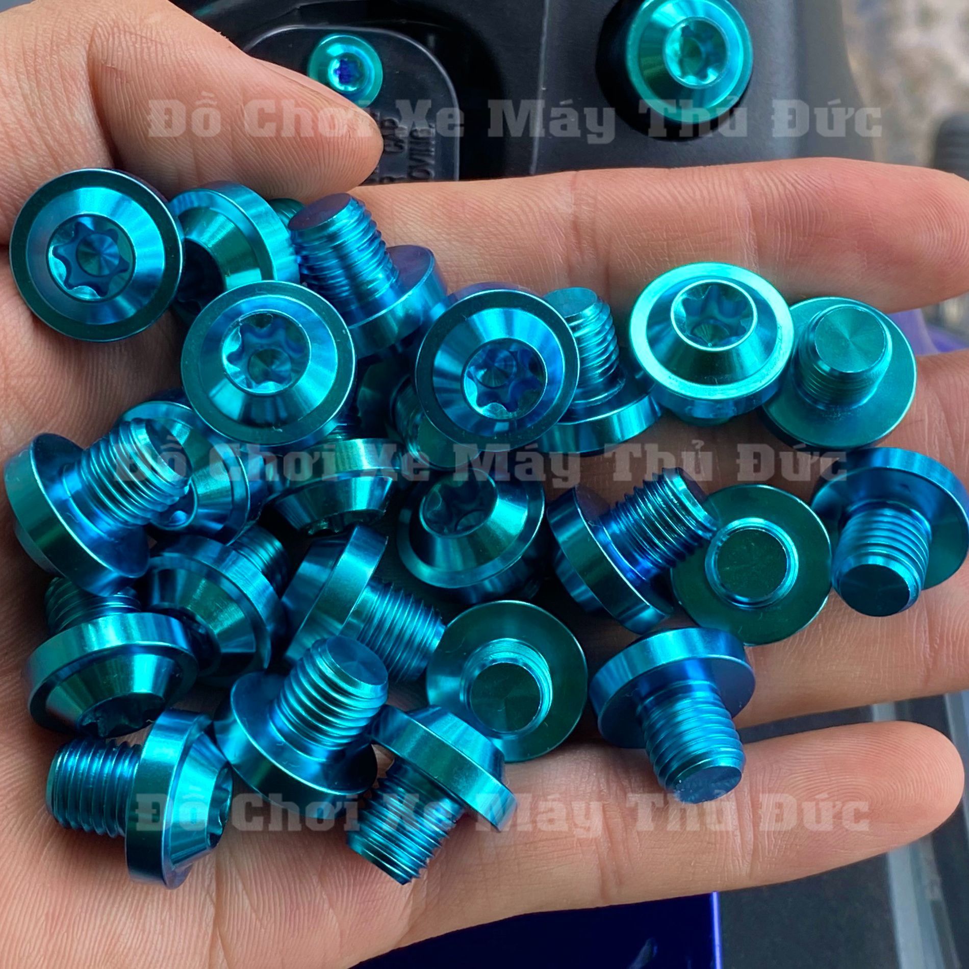 [HCM]Ốc Chân Gương Titan Gr5