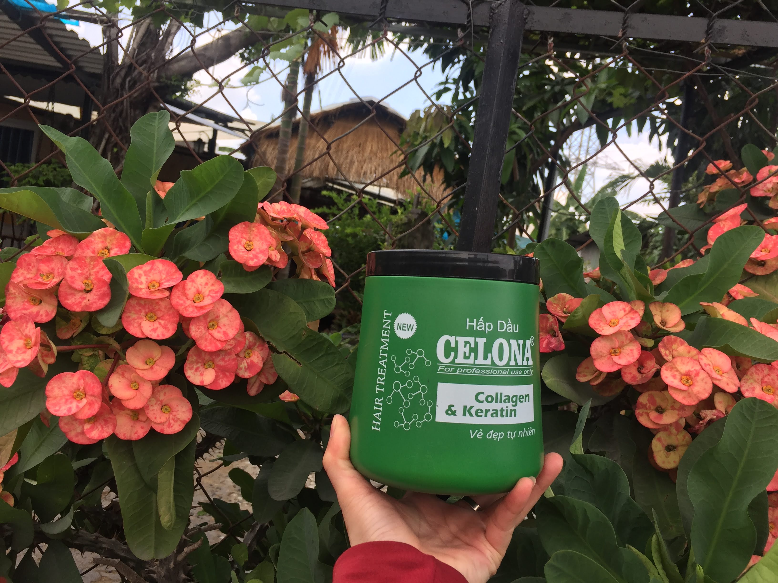 Hấp dầu ceolona collagen & karetin 1000 ml