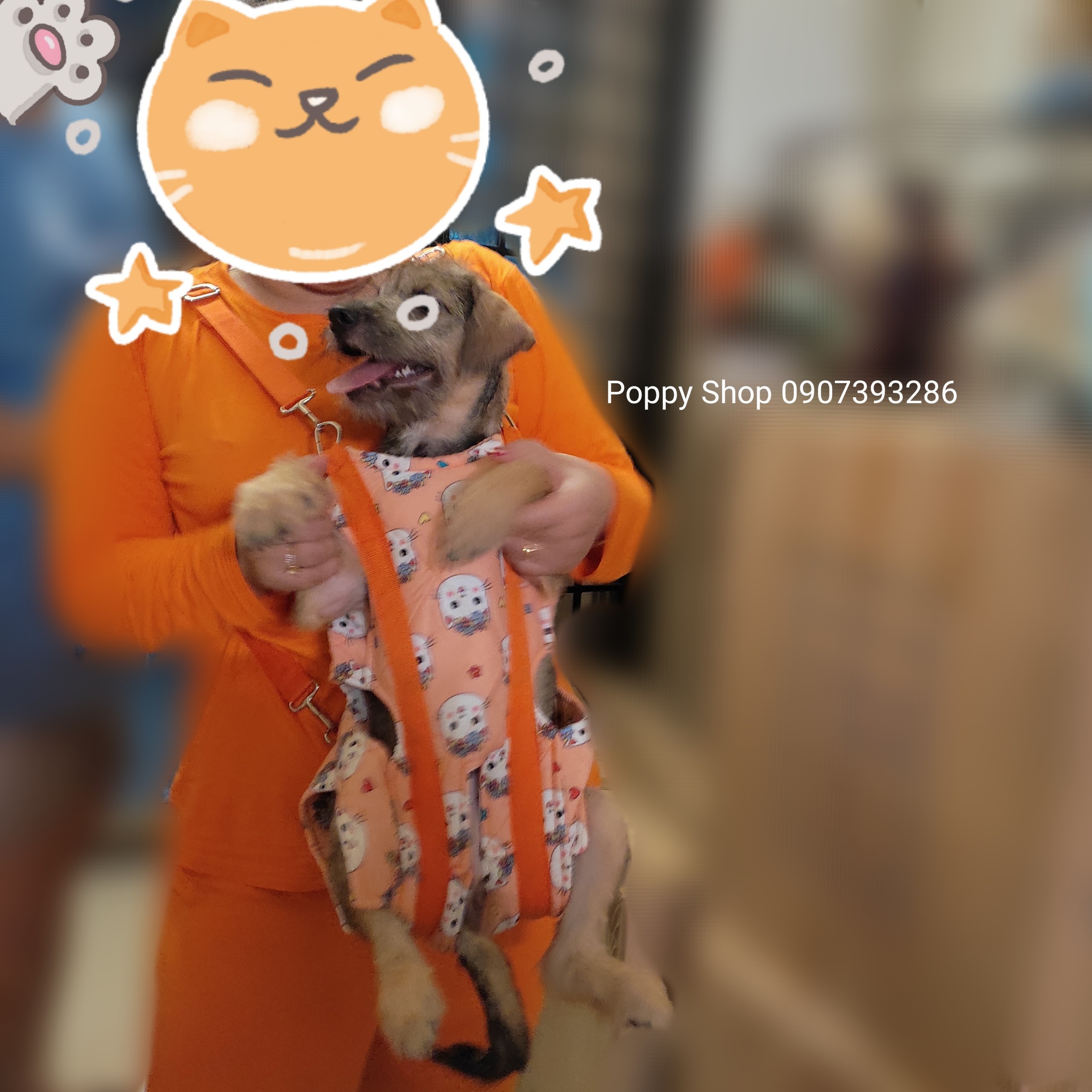 Địu Chó Mèo Của Thái Lan