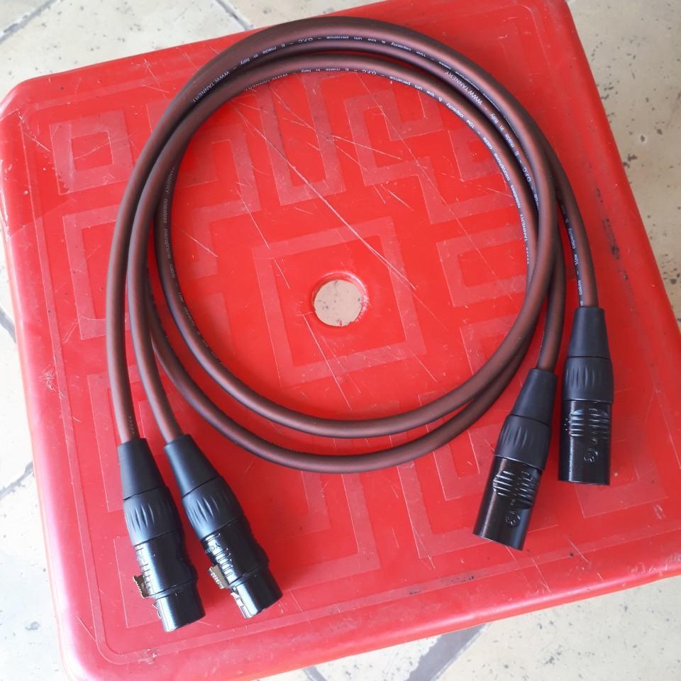 Cặp dây canon Đực ra Cái 1m dây italy