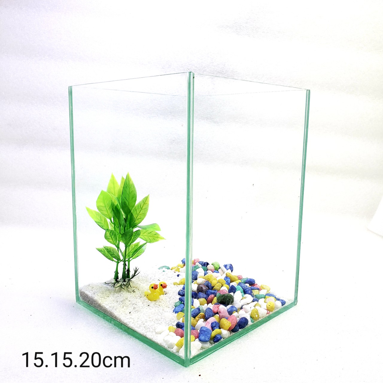 bể cá mini - bể cá mini để bàn cao20cm