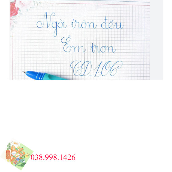 Bút máy cd 106 ngòi kim tình