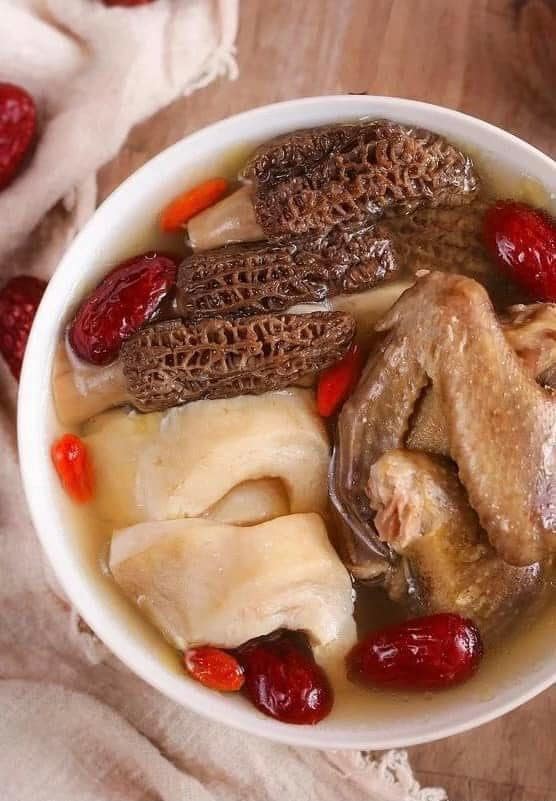 Nấm Bụng Dê