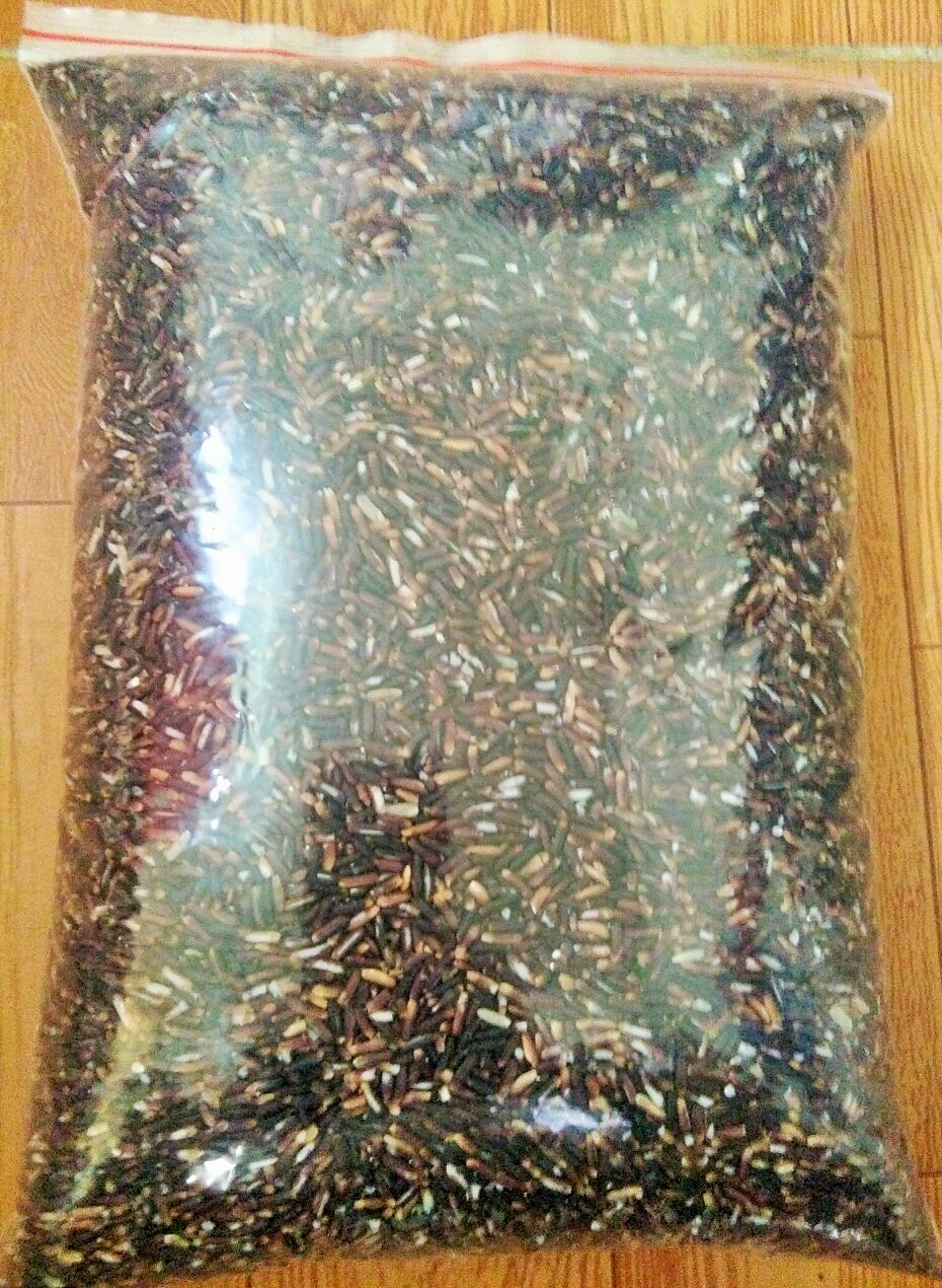 Gạo lứt