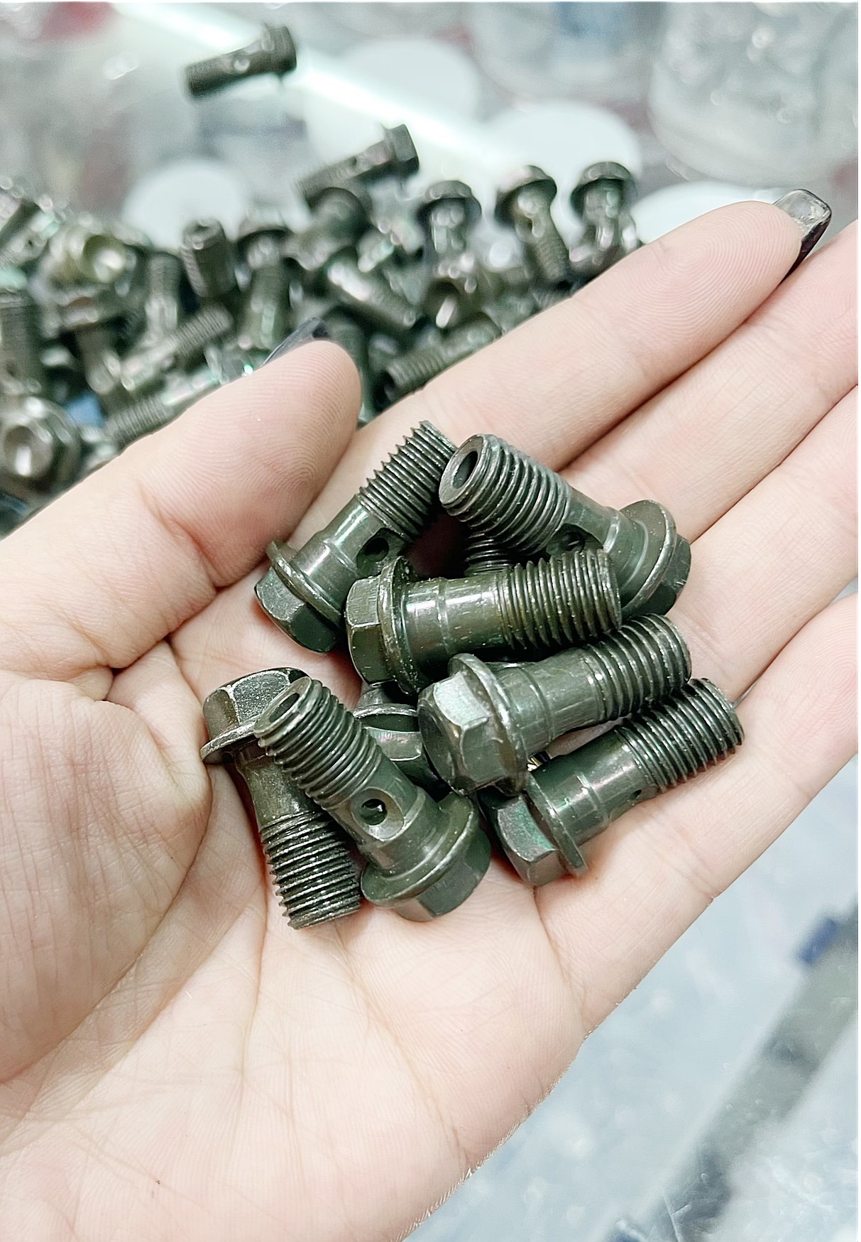 Ốc Dẫn Dầu Gắn Các Loại Heo Nissin