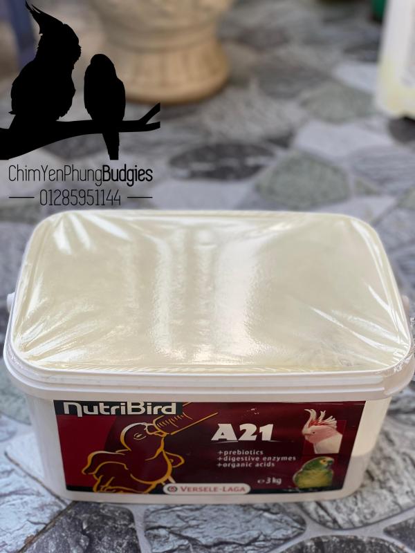 200GRAM BỘT NUTRI A21 giàu dinh dưỡng cho vẹt non XUẤT XỨ: BỈ