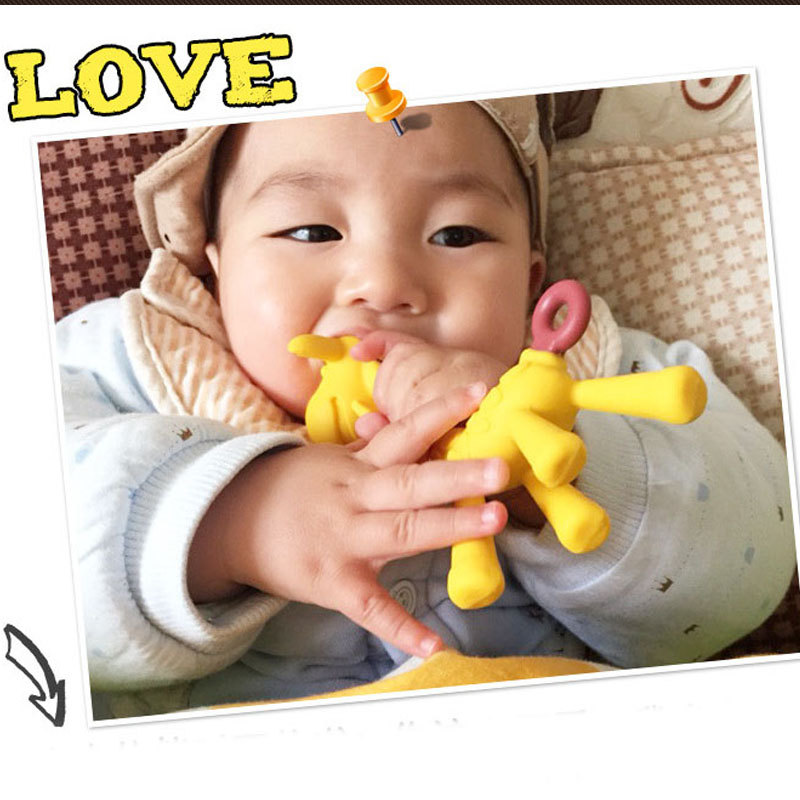 Gặm nướu cho bé con hươu