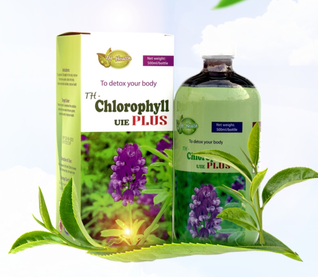 Nước diệp lục CHLOROPHYLL [81 Droppii]