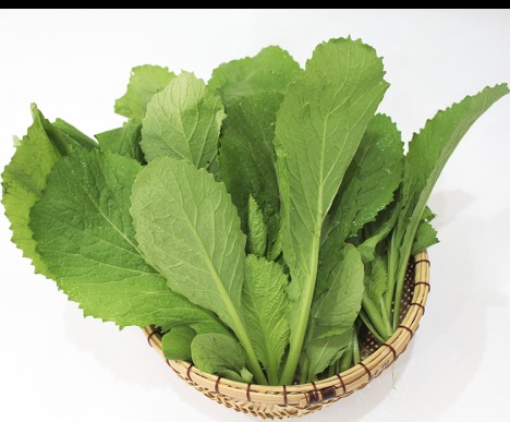 Hạt giống cải xanh mỡ Thuận Điền