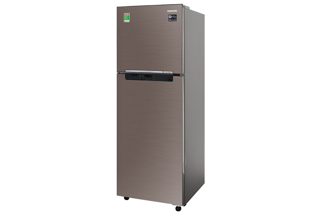 Tủ lạnh Samsung RT22M4040DX/SV Inverter