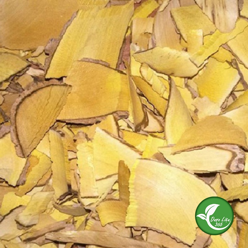 Cây Mật Gấu Bắc [1kg] Hàng loại 1