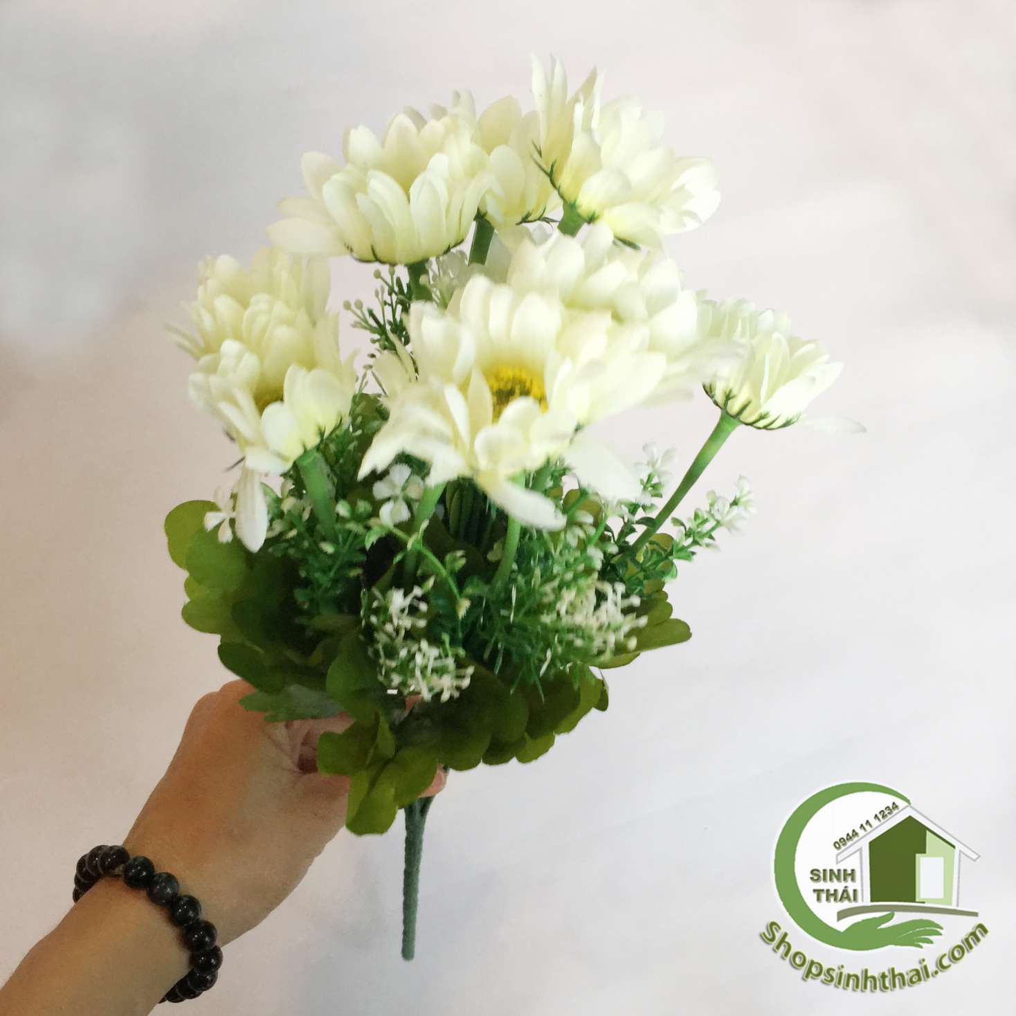 [HCM]Bụi hoa cúc thạch thảo màu trắng - bụi cao 38cm
