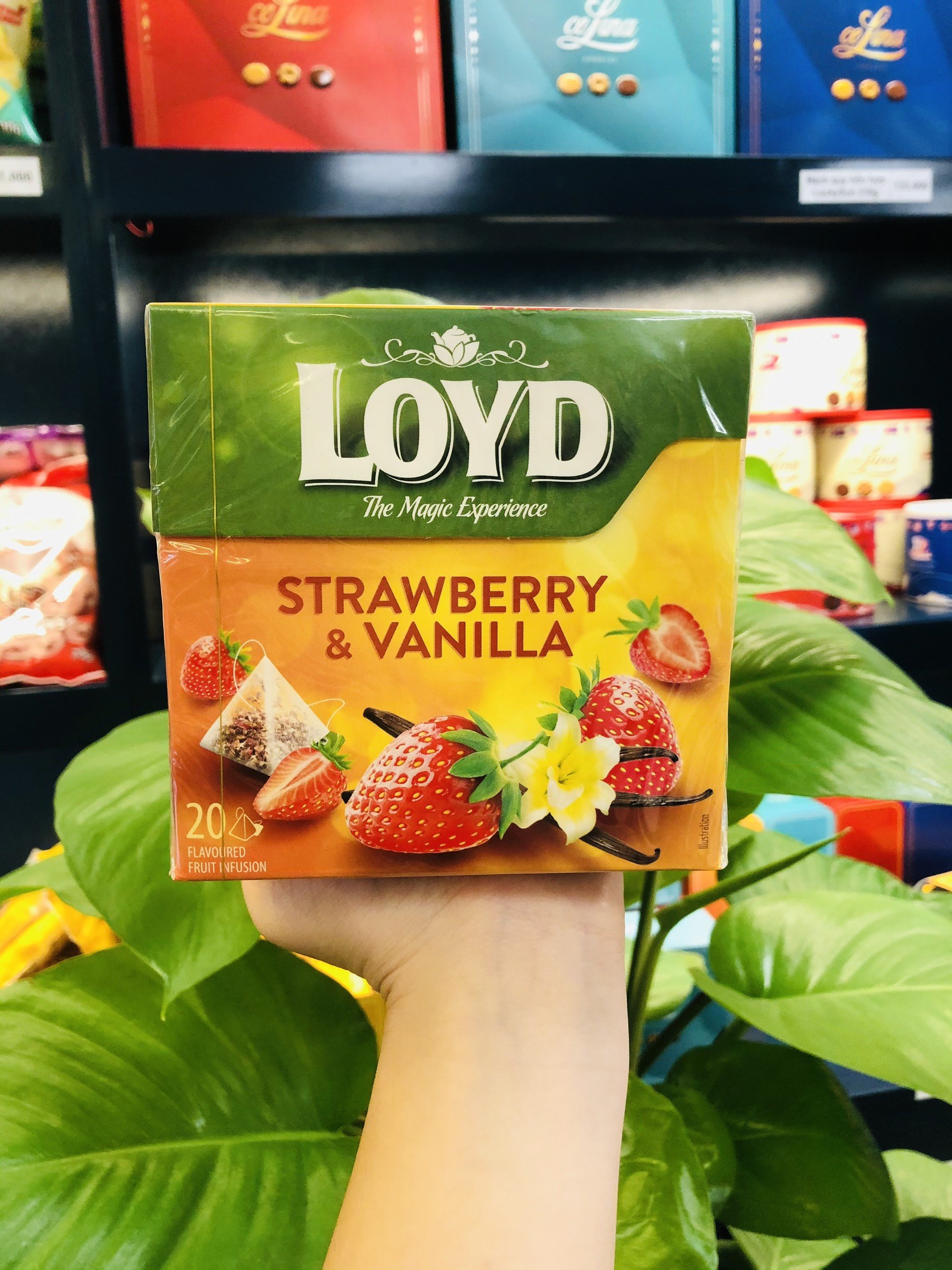 TRÀ LOYD DATE T3/4-2024